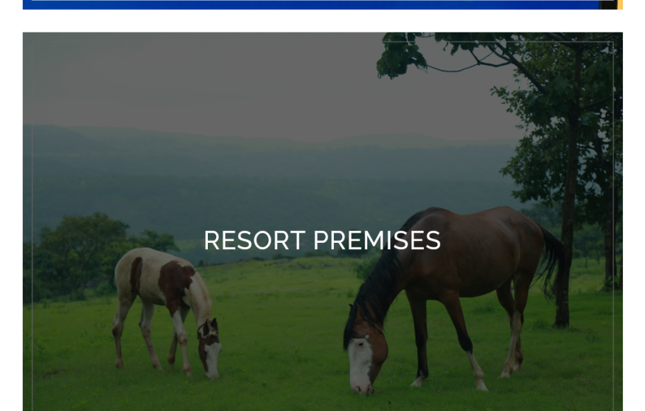 Resort near Bhimashankar Temple 10 km deluxe rooms