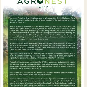 Agronest fatm